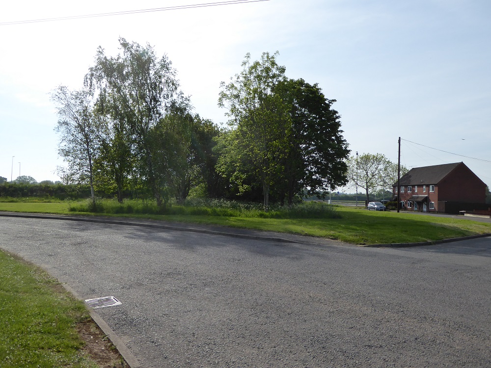 Plea to save land for a village green